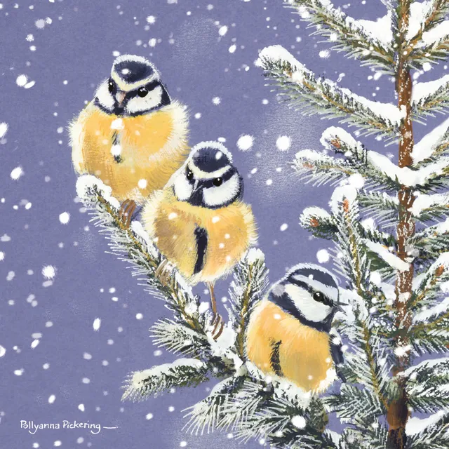 otter-house-puzzle-christmas-rspb-trio-blue-tits-weihnachtskarten-10er-v-gel image 1