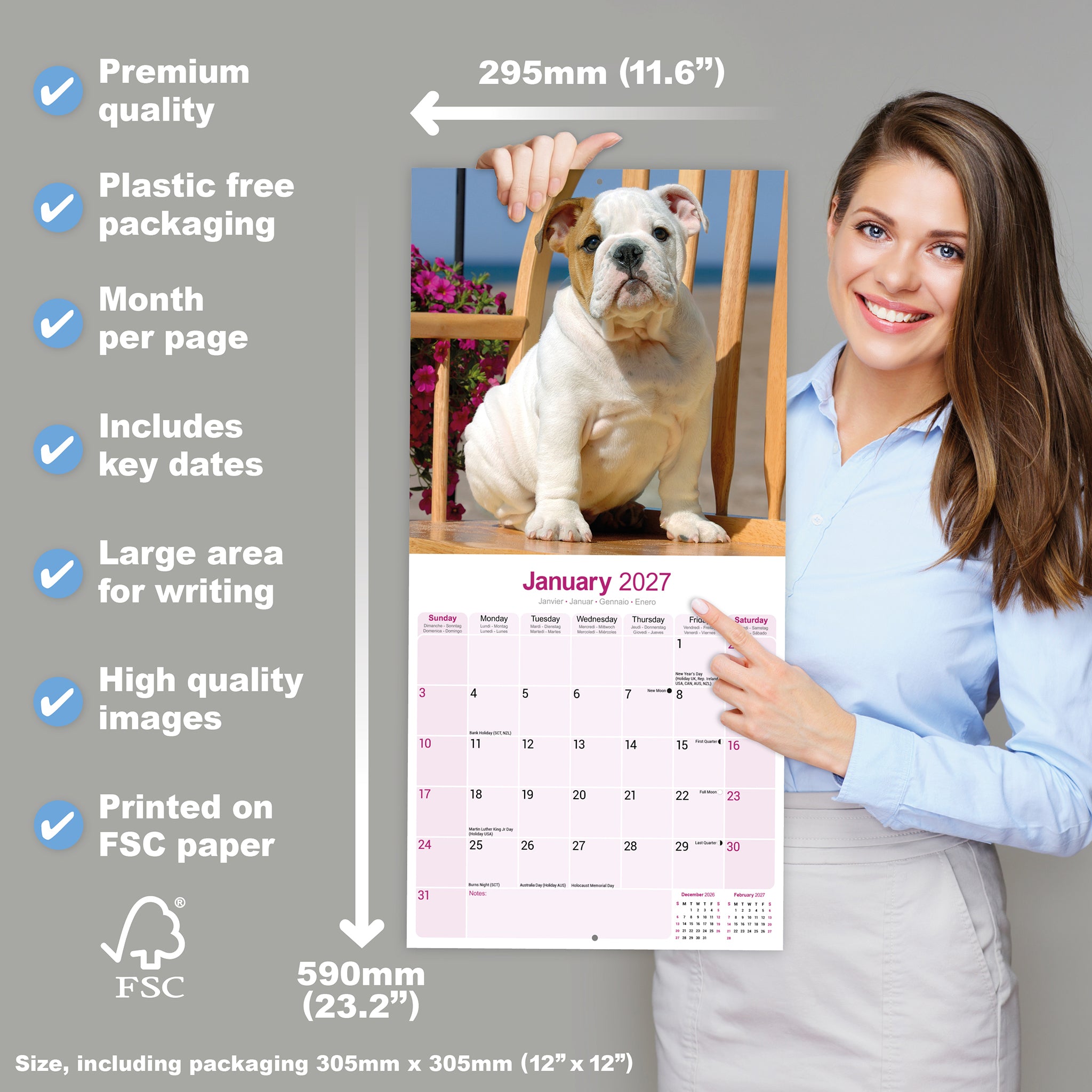 otter-house-bulldog-wandkalender-2027-hunde image 4