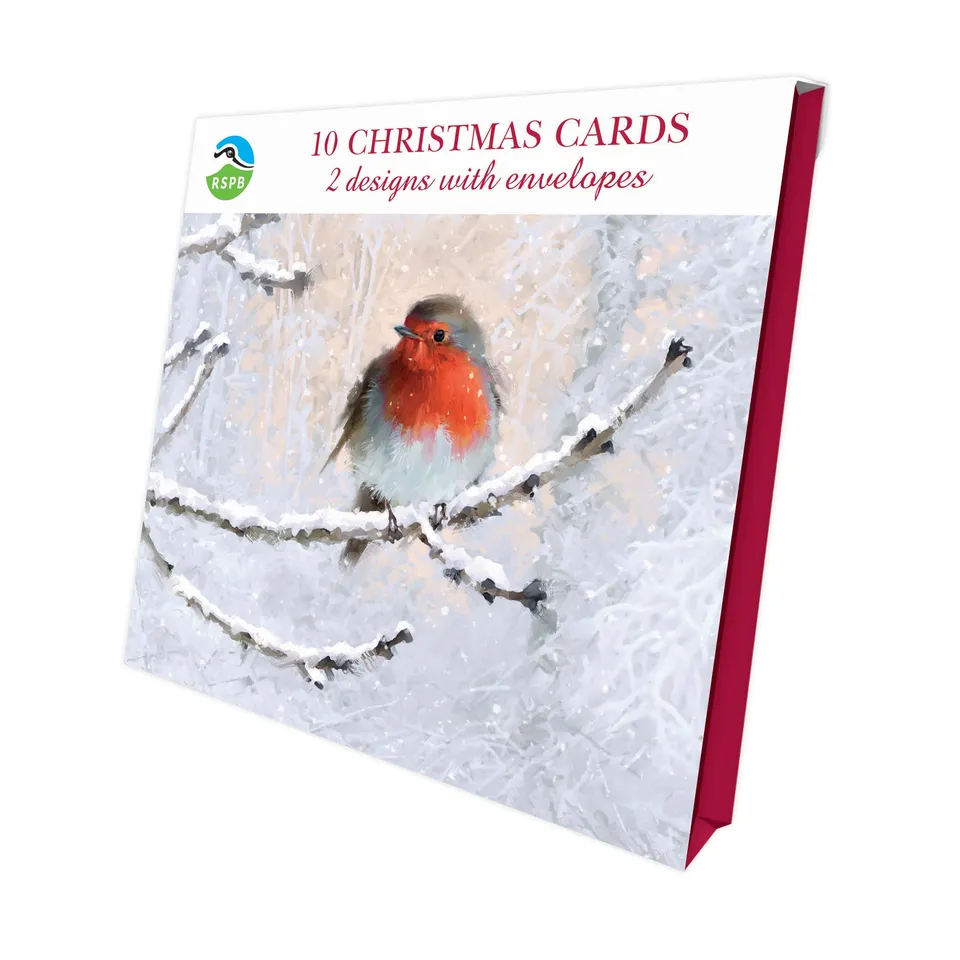otter-house-frosty-perches-rspb-weihnachtskarte-10er-eisvogel image 1
