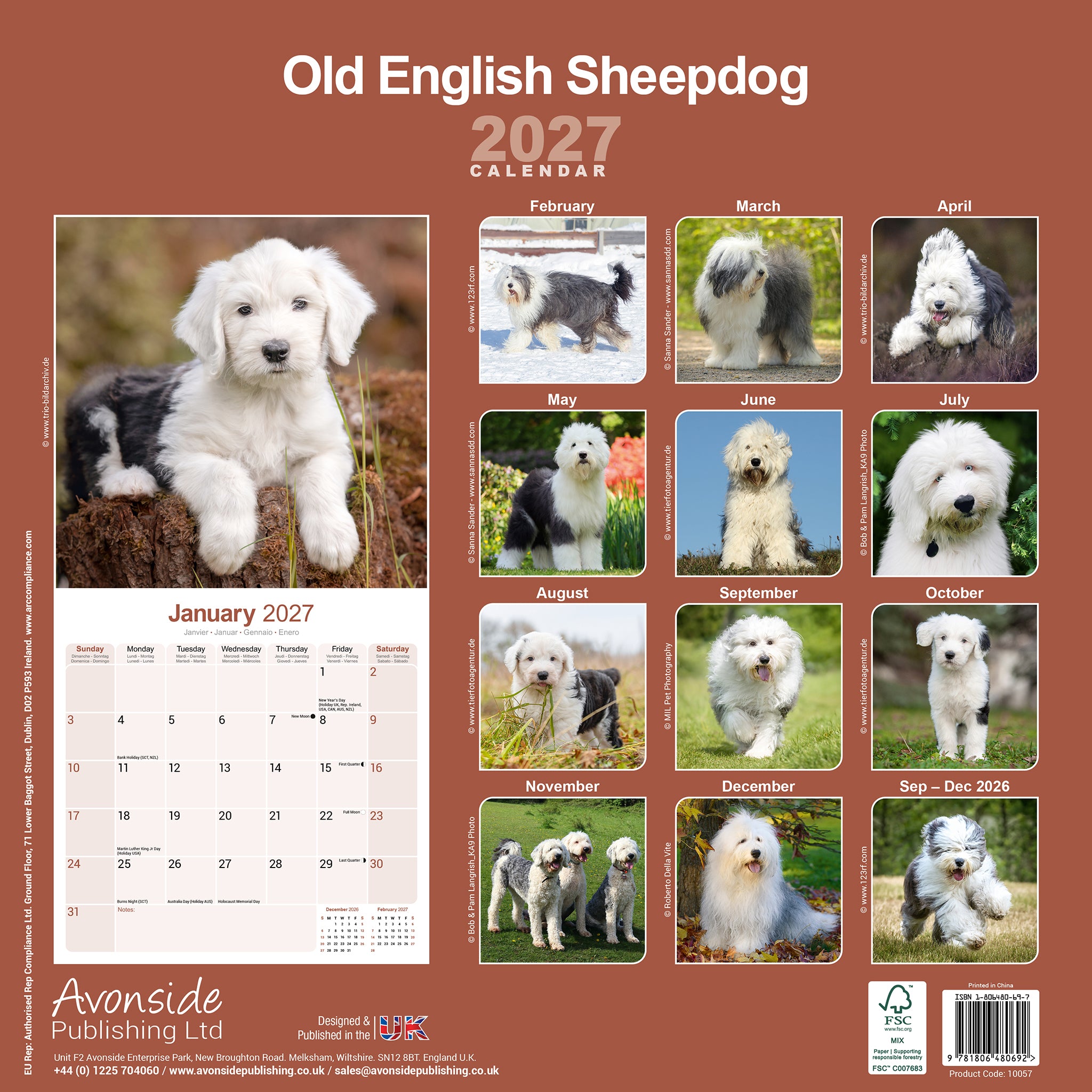 otter-house-calendars-old-english-sheepdog-wandkalender-2027-hunde image 3