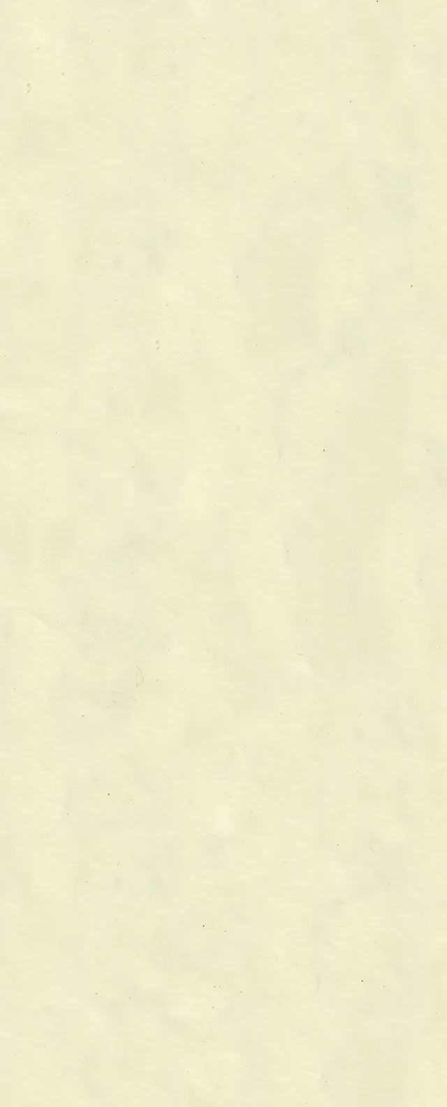 otter-house-tissue-pack-seidenpapier-creme-5-b-gen image 1
