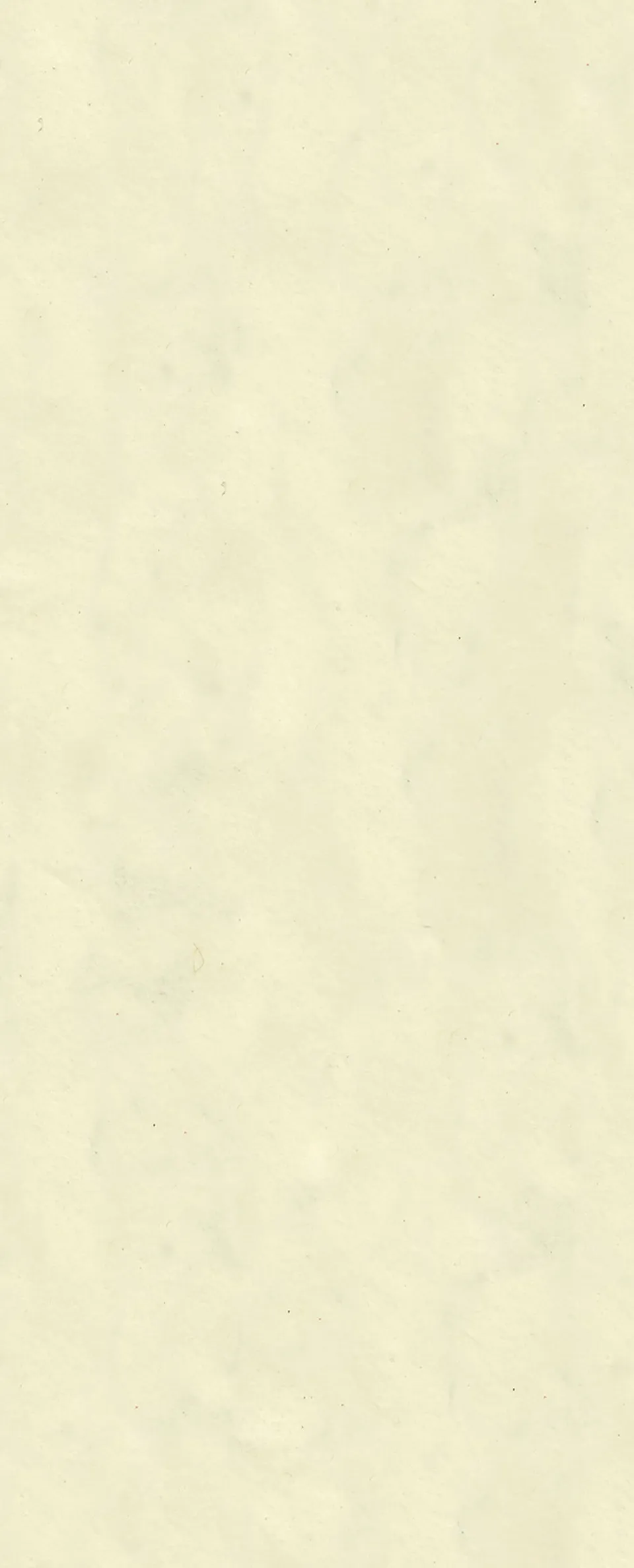 otter-house-tissue-pack-seidenpapier-creme-5-b-gen image 1