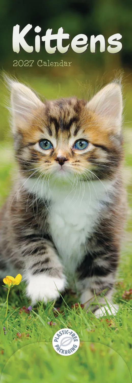 otter-house-kittens-slim-kalender-2027-k-tzchen-schmal image 1