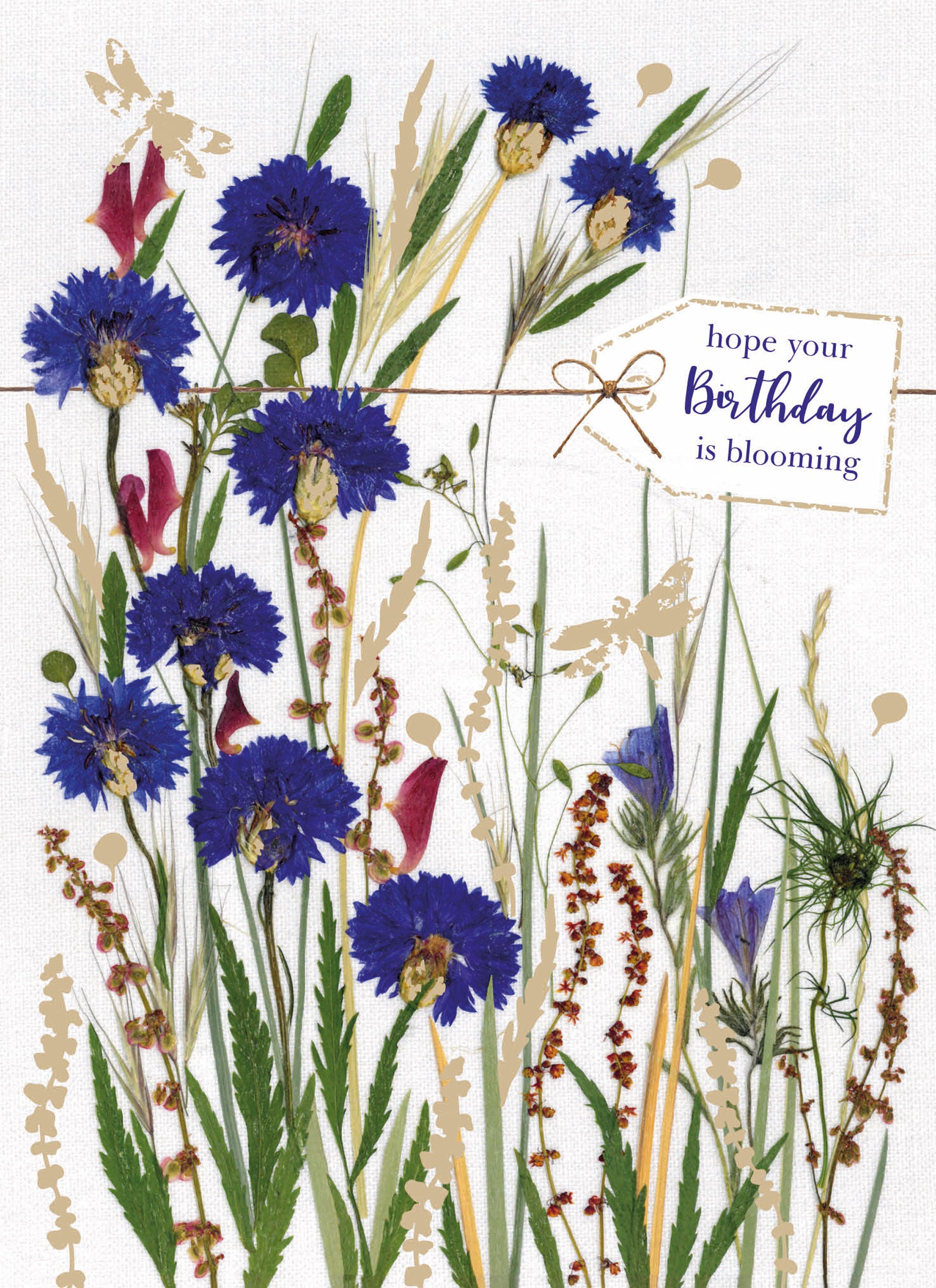 otter-house-flower-press-cornflowers-geburtstagskarte-blumen image 1