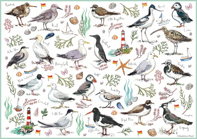 otter-house-madeleine-floyd-seabirds-puzzle-500-teile image 1