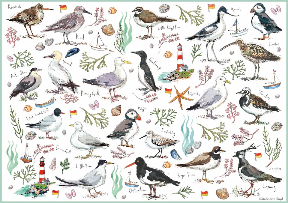 otter-house-madeleine-floyd-seabirds-puzzle-500-teile image 1