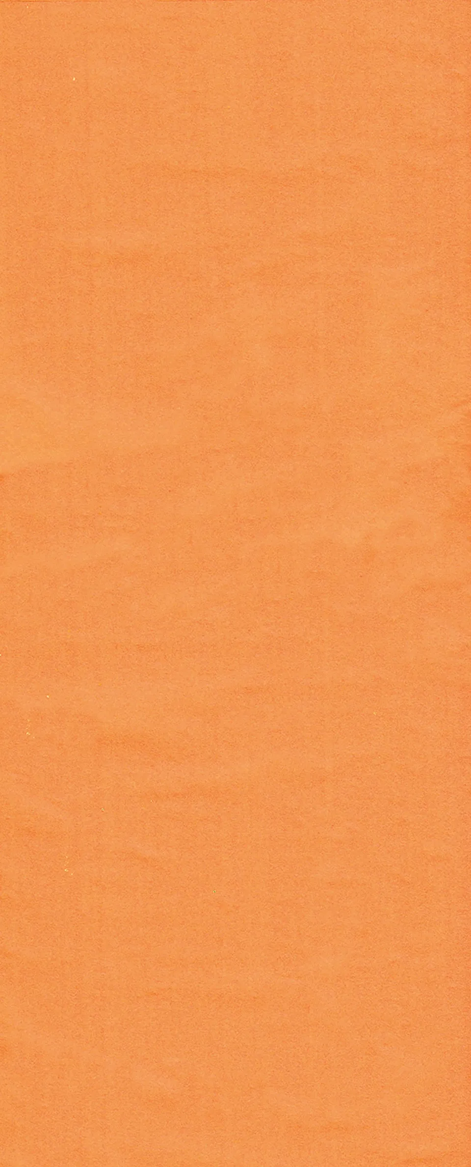 otter-house-tissue-pack-seidenpapier-orange-5-bogen-geschenk image 1