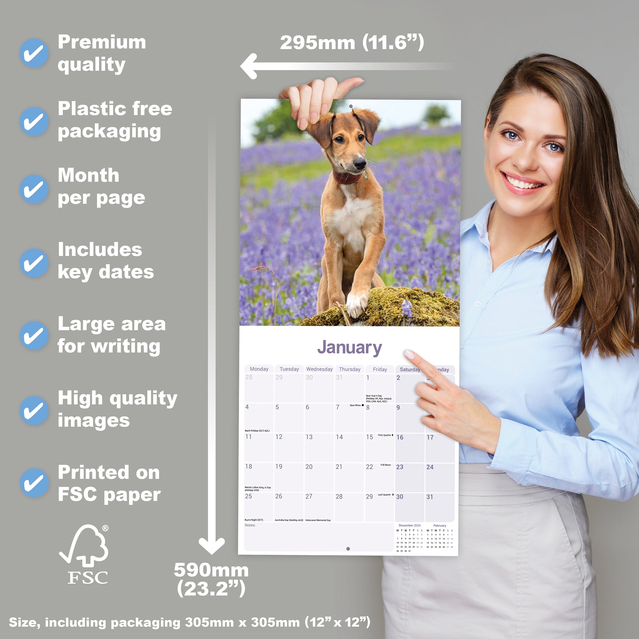 otter-house-lurcher-wall-calendar-2027-wandkalender-hunde image 4