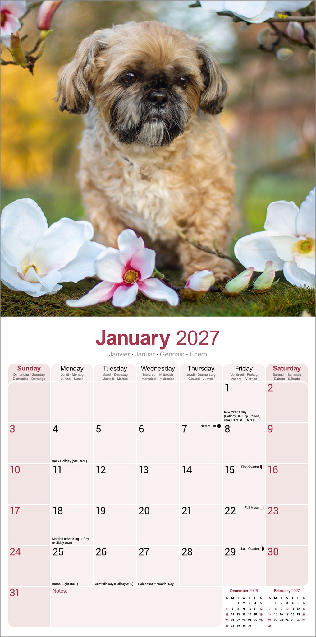 otter-house-shih-tzu-wandkalender-2027-hunde image 3