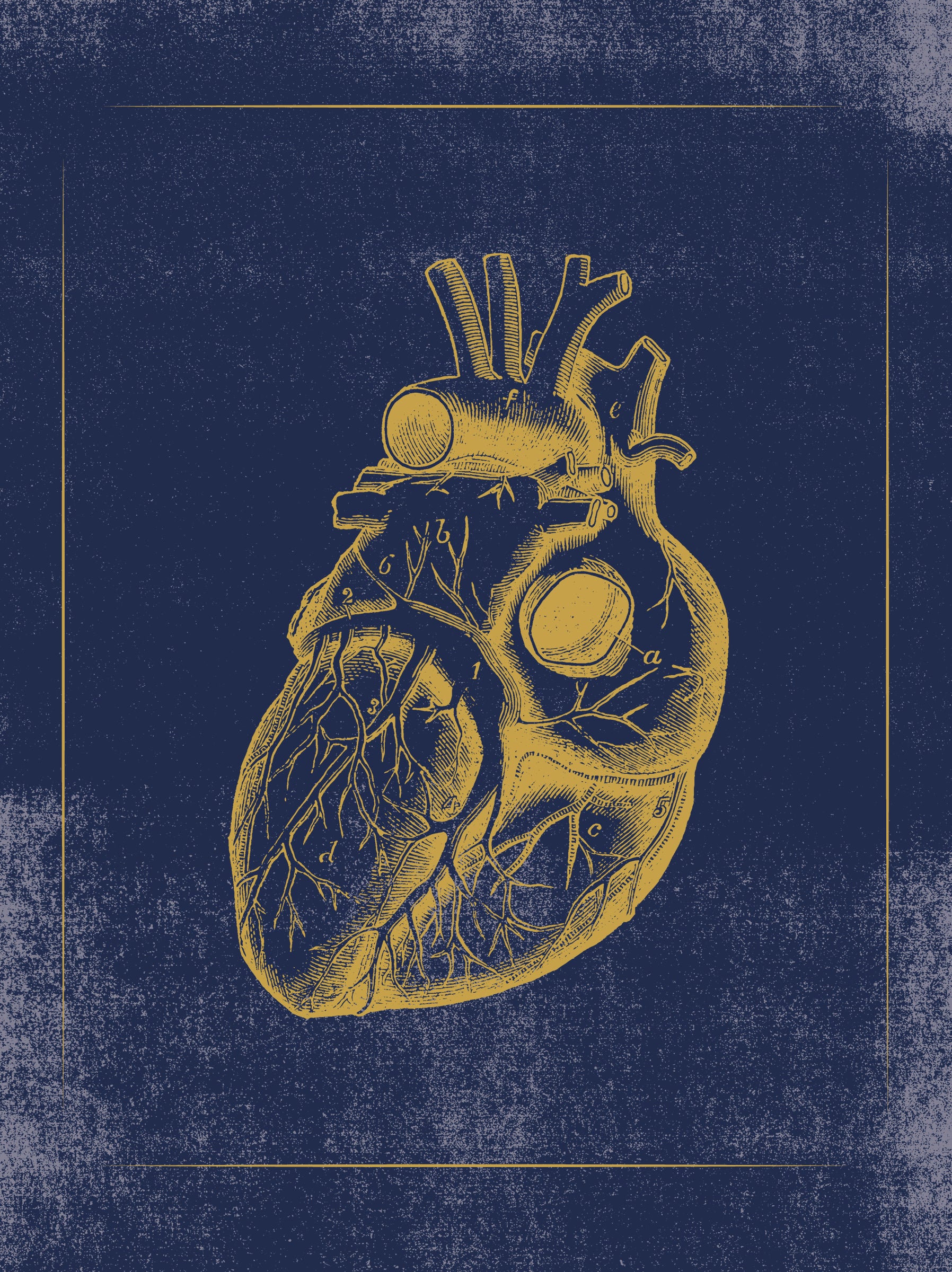 pomegranate-vintage-anatomy-kartenbox-anatomie-klappkarten image 4