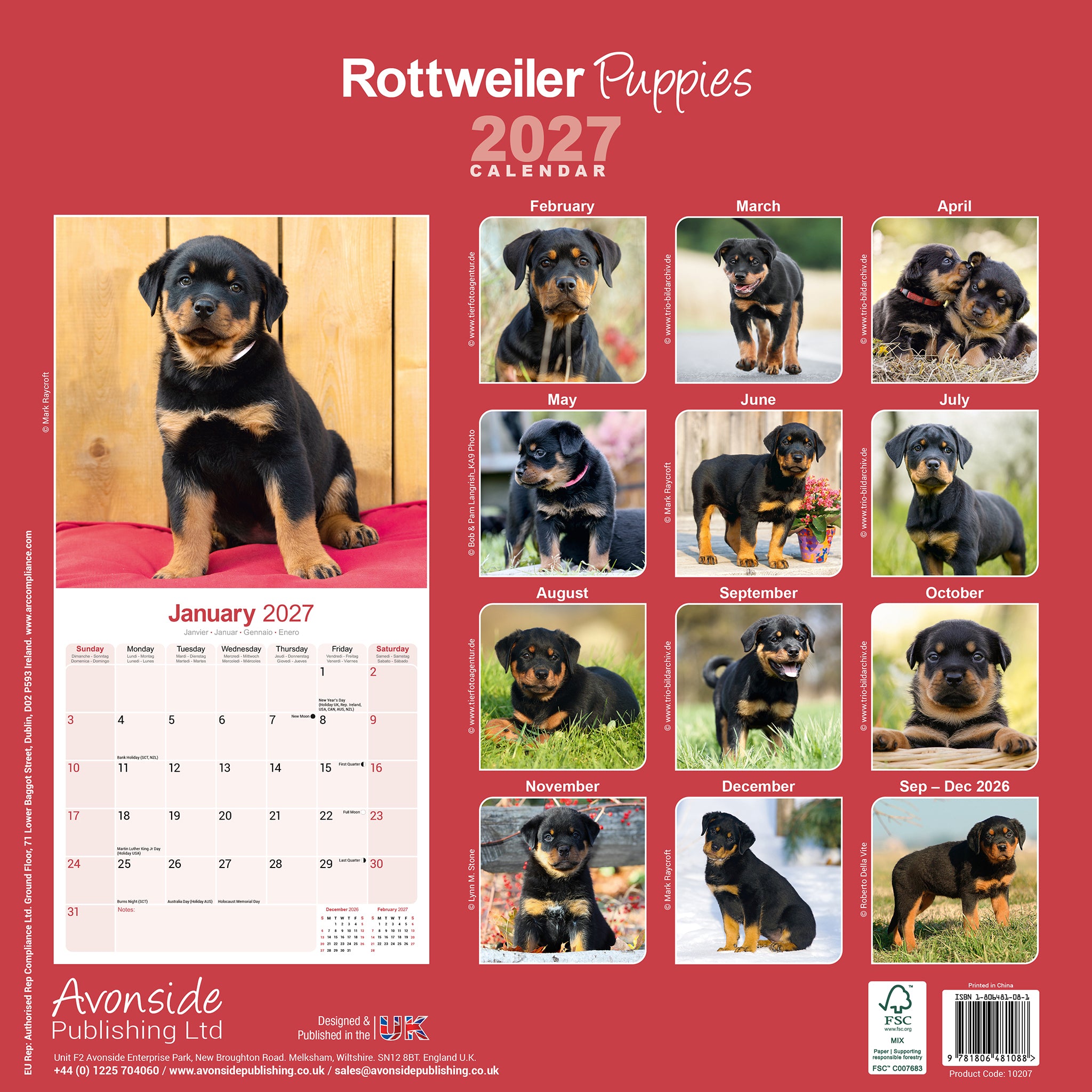 otter-house-rottweiler-puppies-wall-calendar-2027-hunde image 2
