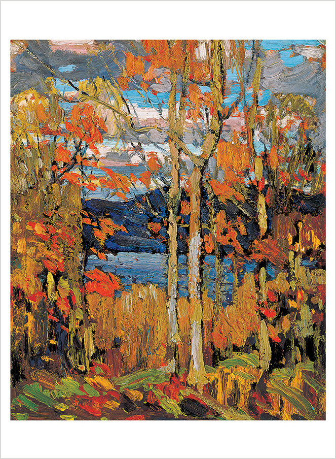 pomegranate-tom-thomson-book-of-postcards-30-postkarten-landschaft image 5