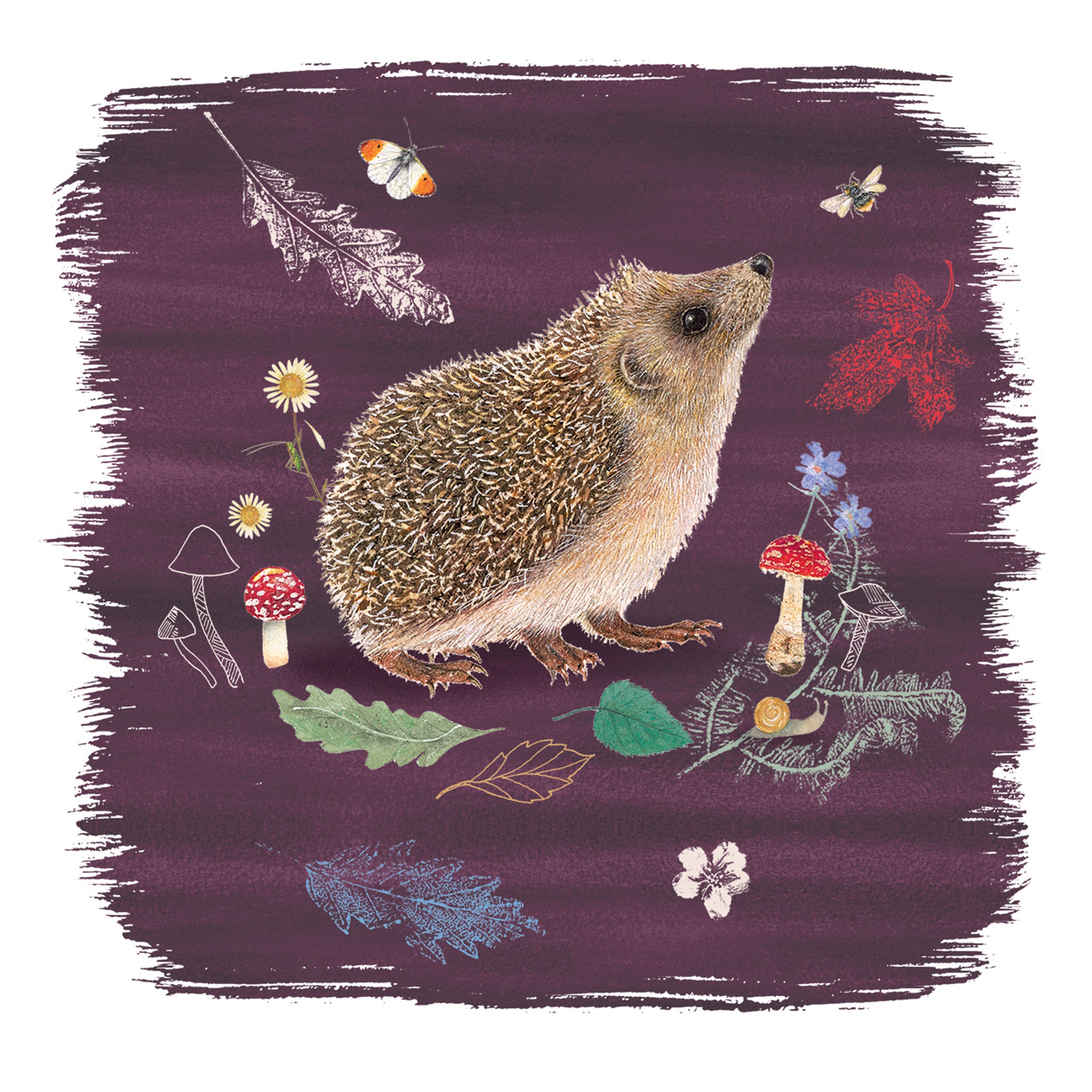 otter-house-beyond-hedgerow-klappkarten-igel-10er-pack image 3