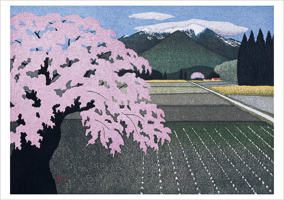 pomegranate-cherry-trees-karten-set-ohtsu-20-st-ck image 2