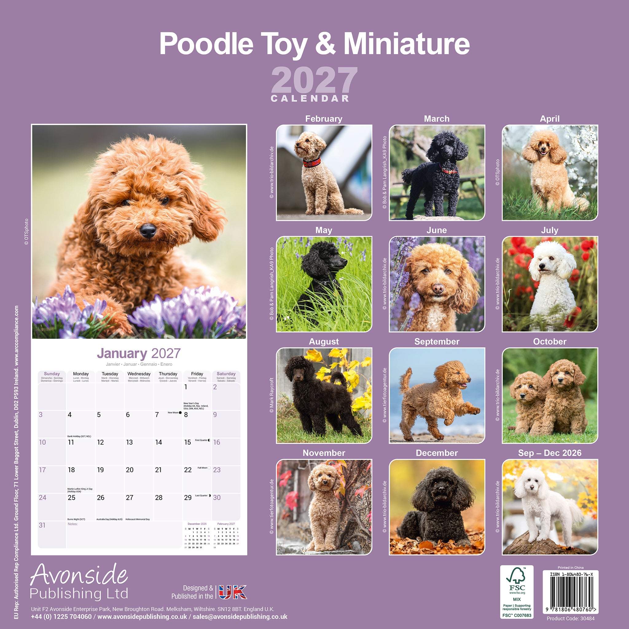 otter-house-poodles-wandkalender-2027-pudel image 2
