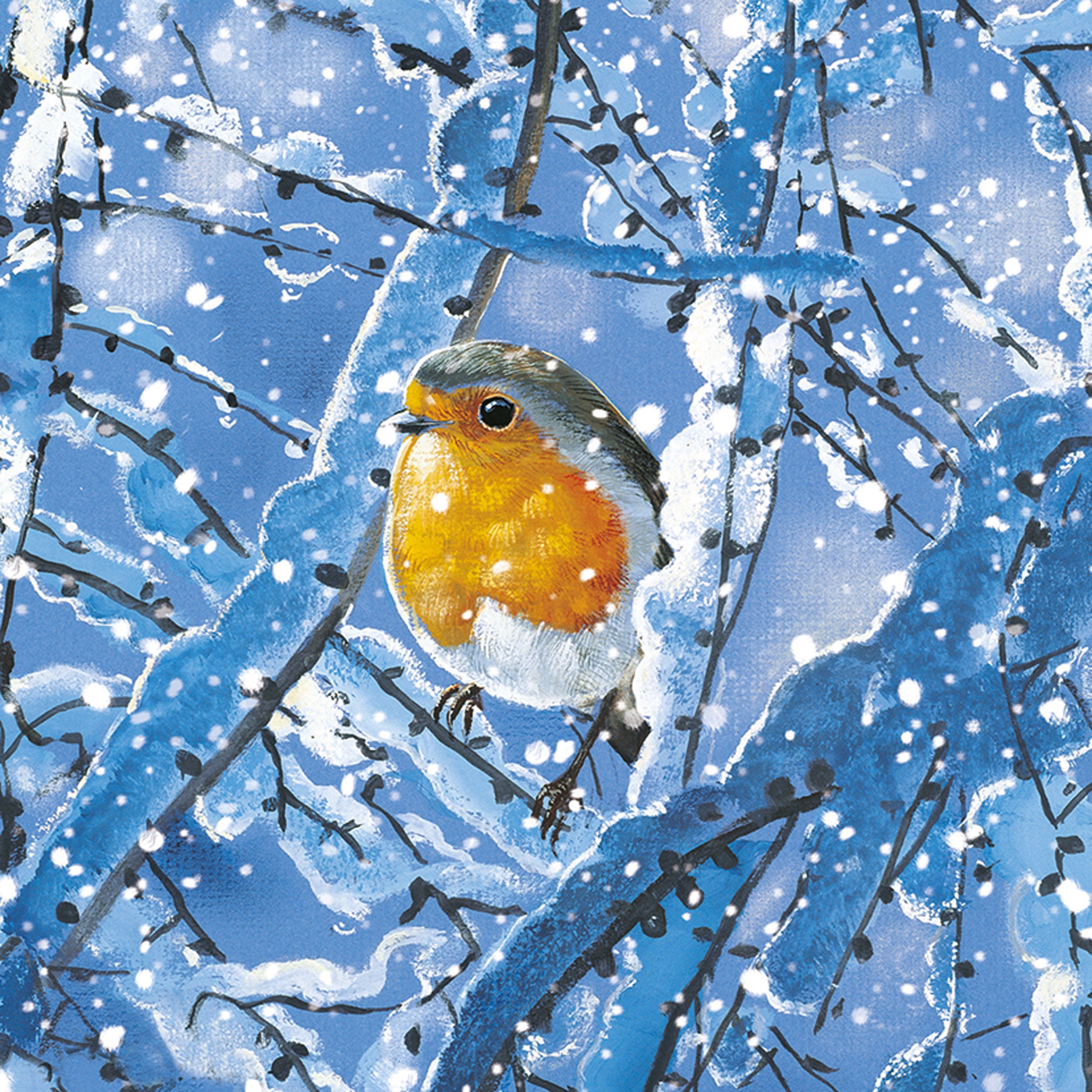 otter-house-winter-robins-weihnachtskarten-set-rotkehlchen image 4