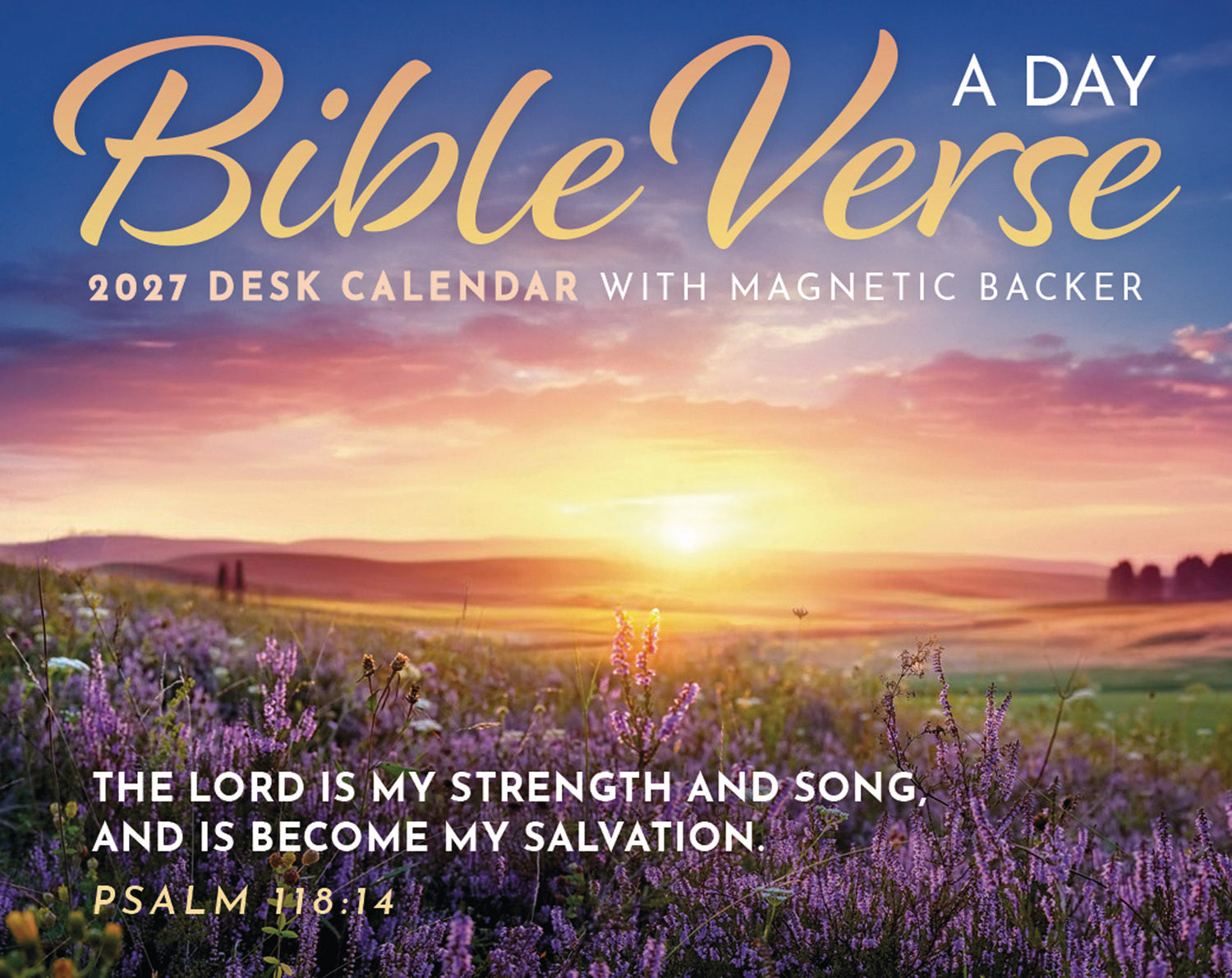 otter-house-bible-verse-a-day-tischkalender-2027-mini-box image 1