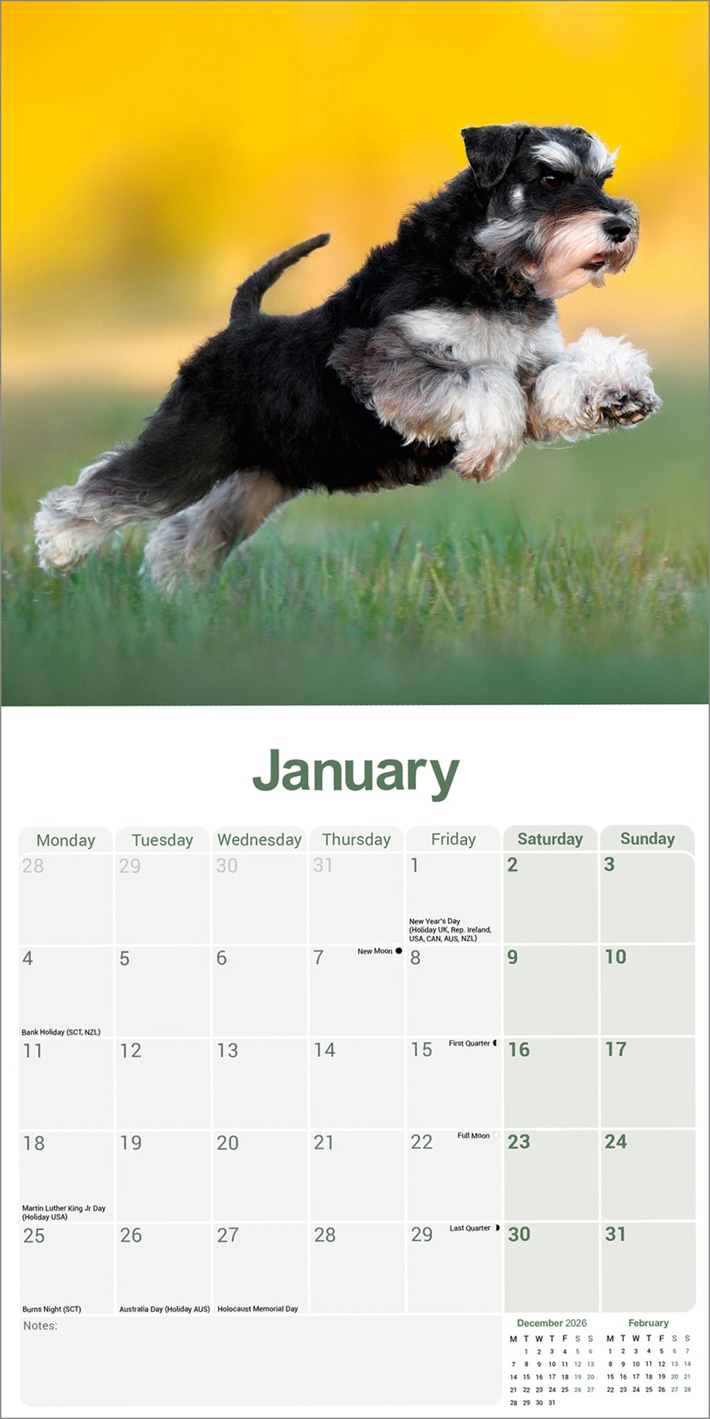 otter-house-schnauzer-miniature-wandkalender-2027-hunde image 3