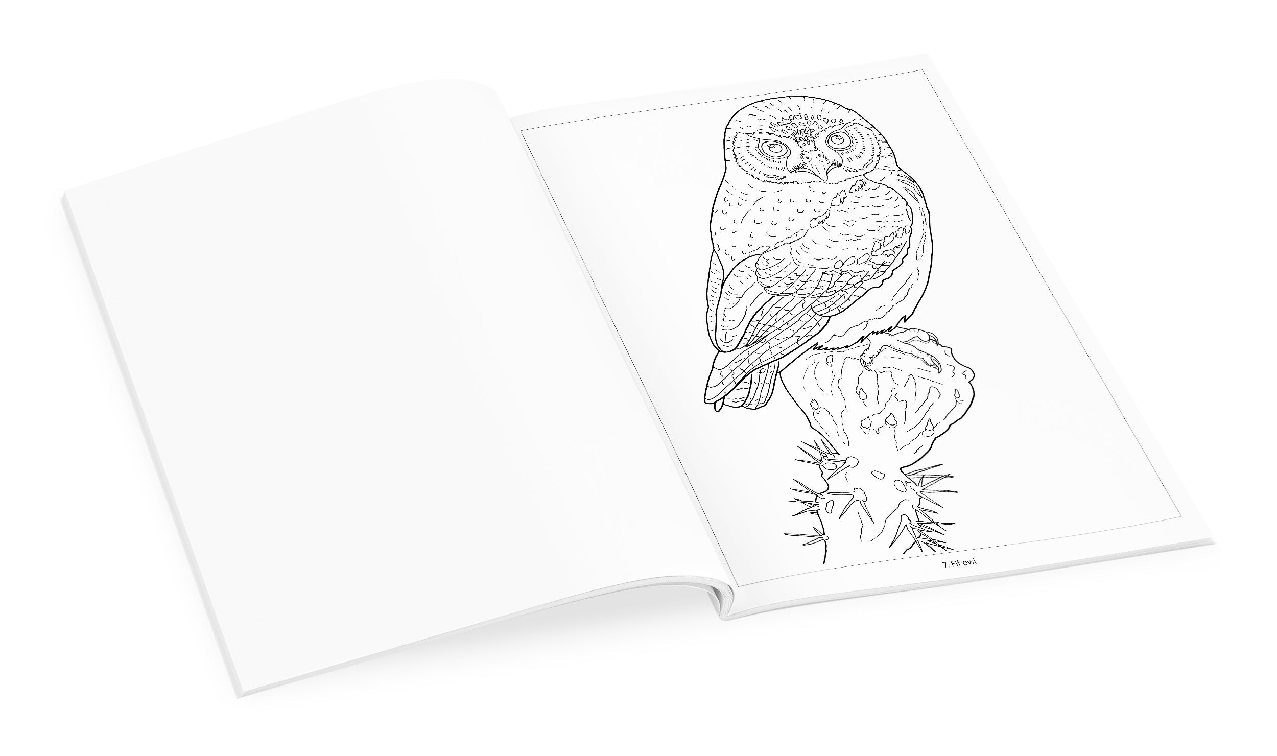 pomegranate-owls-malbuch-eulen-ausmalbuch-v-gel image 4