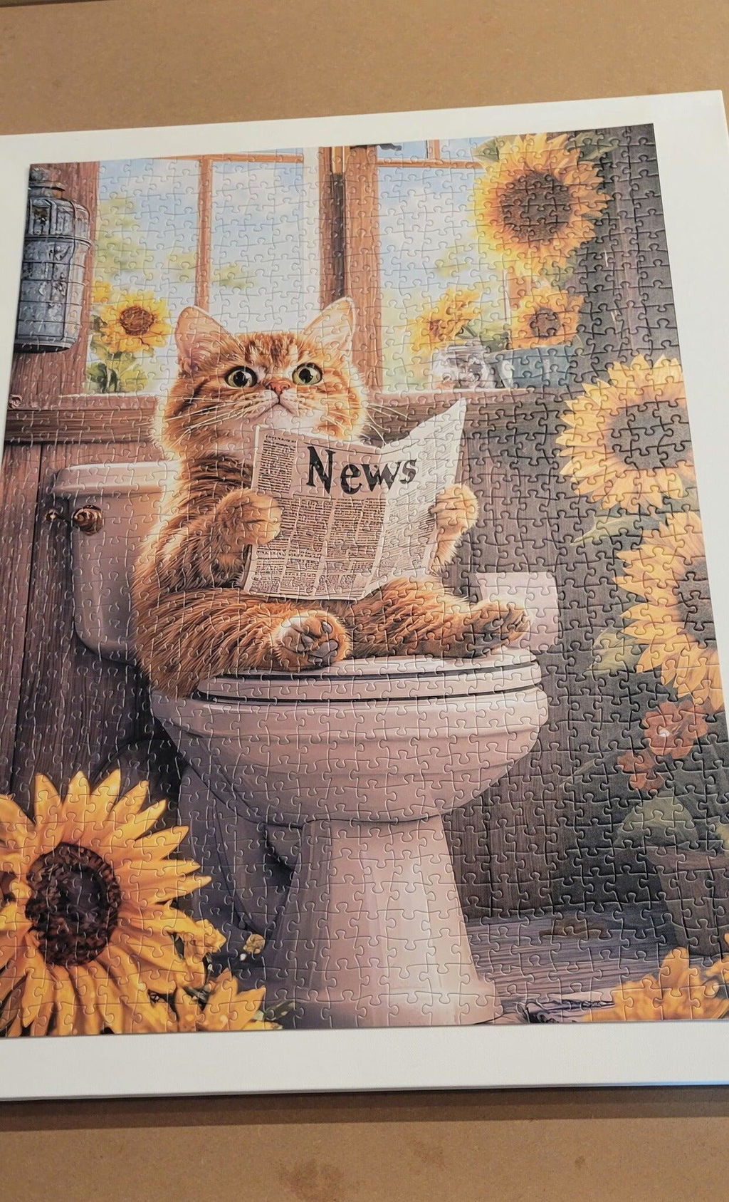 Kater