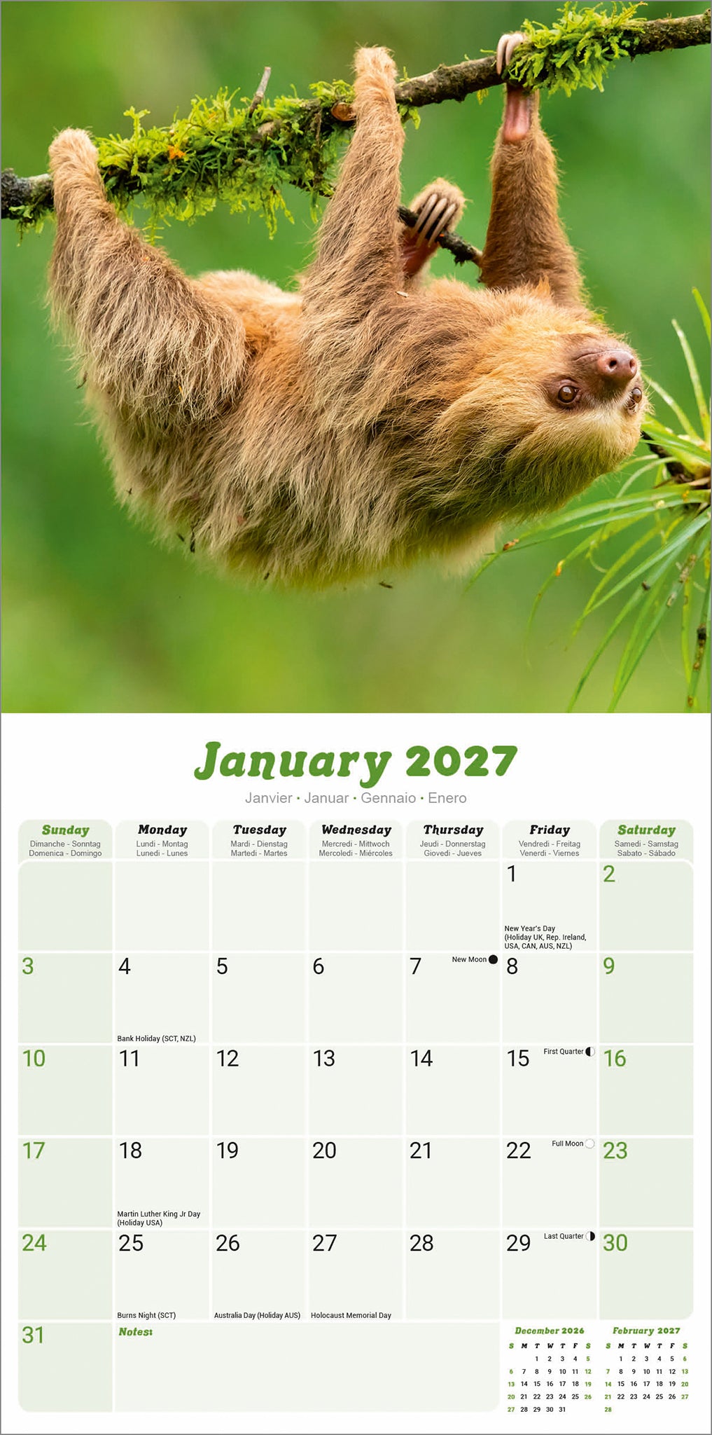 otter-house-sloths-wandkalender-2027-faultier image 3
