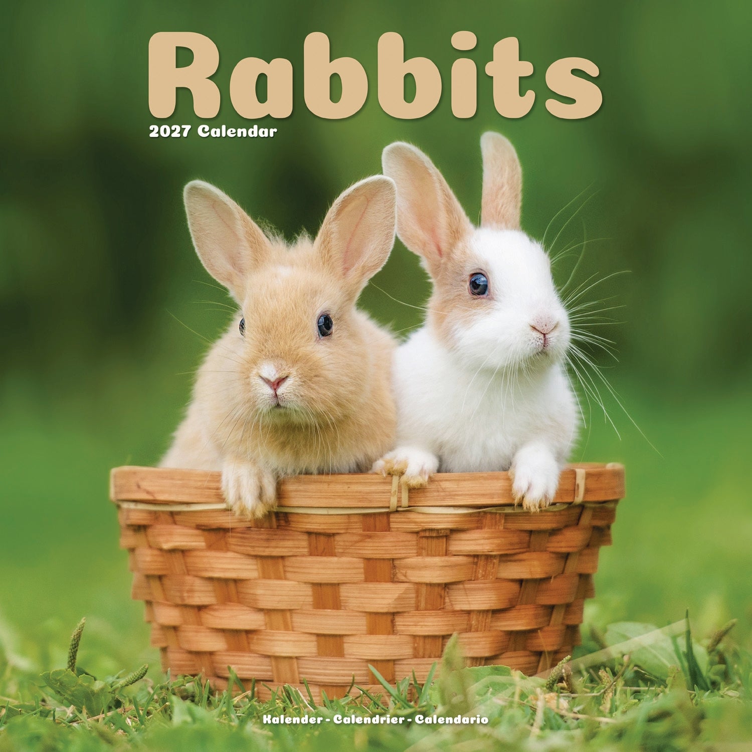 otter-house-rabbits-wandkalender-2027-hasen-tierkalender image 1