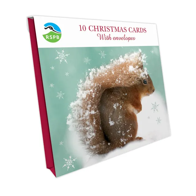 otter-house-squirrel-in-snow-weihnachtskarten-10er-rspb image 1