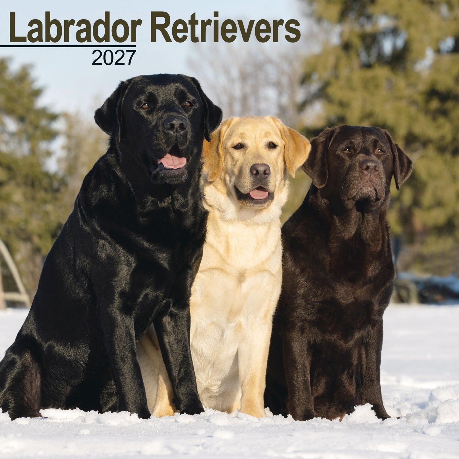 otter-house-labrador-retrievers-wandkalender-2027-hunde image 1