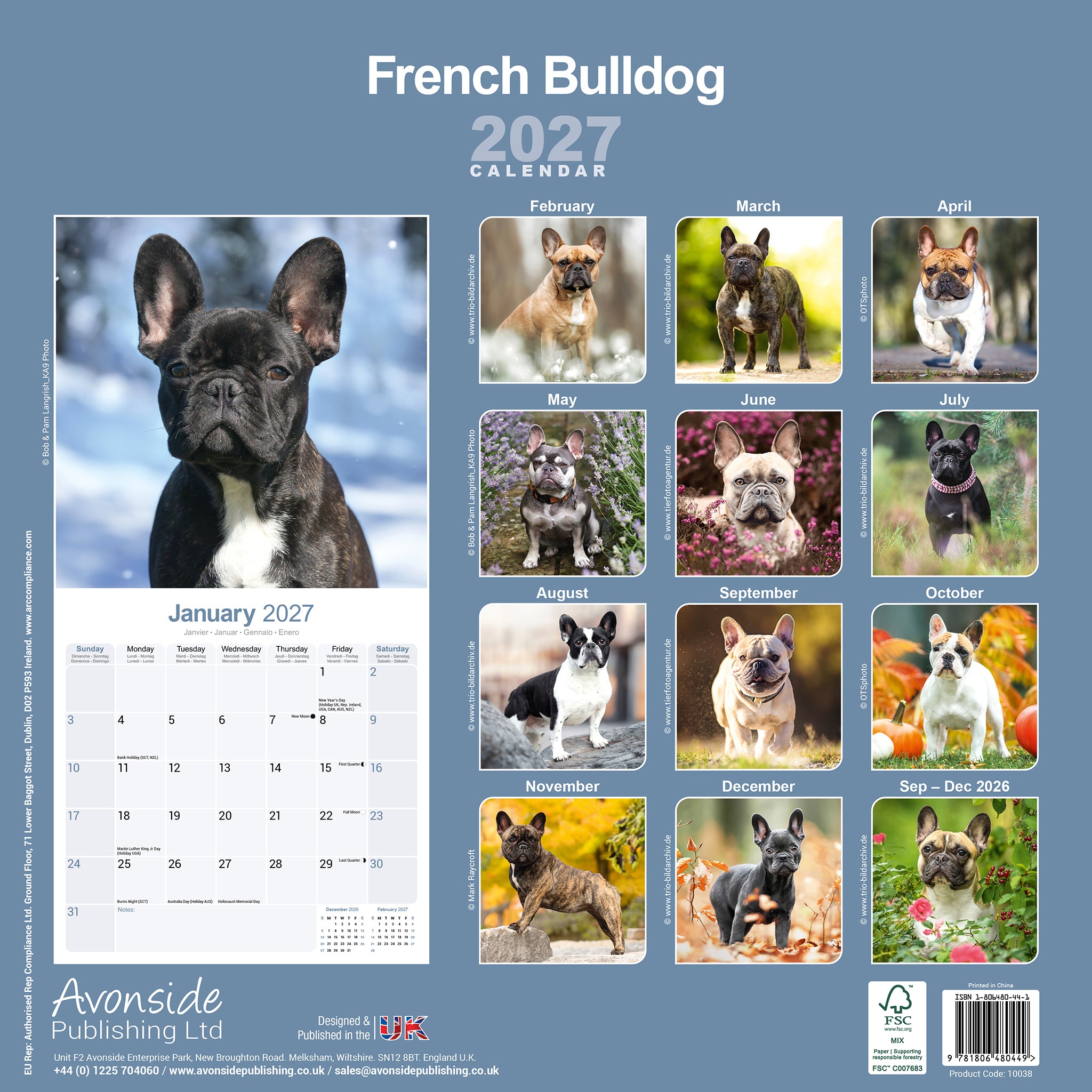 otter-house-french-bulldog-wandkalender-2027-hunde image 2