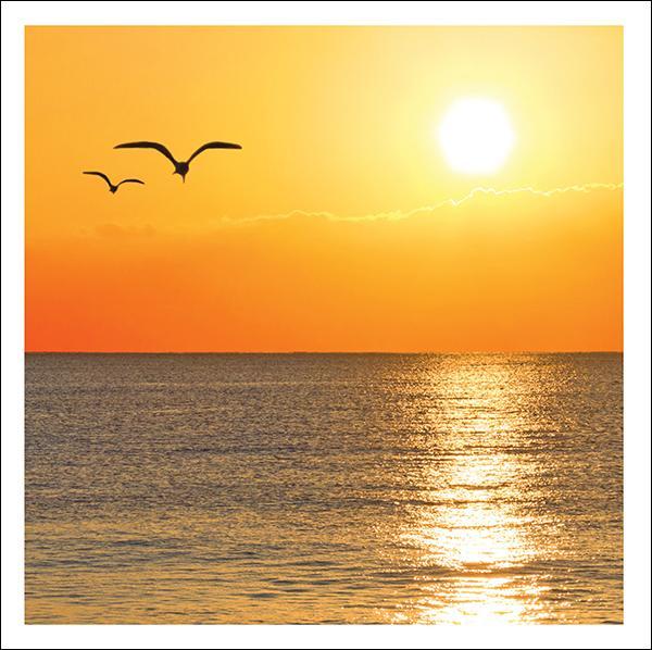 otter-house-snozzle-two-at-sunset-kondolenzkarte-tier image 1