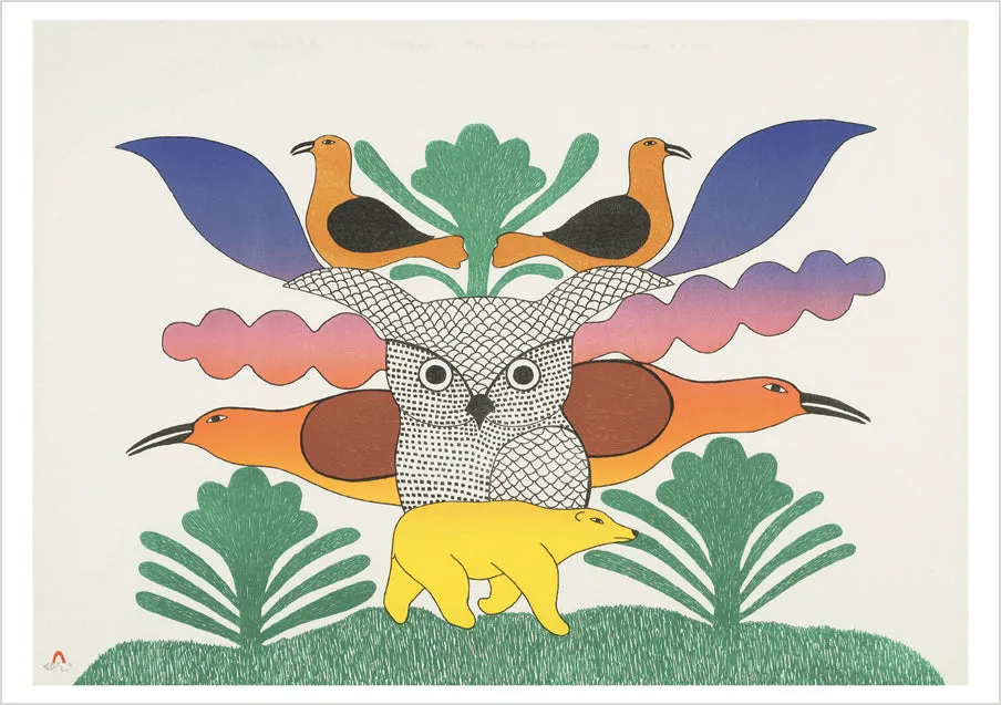 pomegranate-kenojuak-ashevak-owl-klappkarte-eule-inuit-kunst image 1
