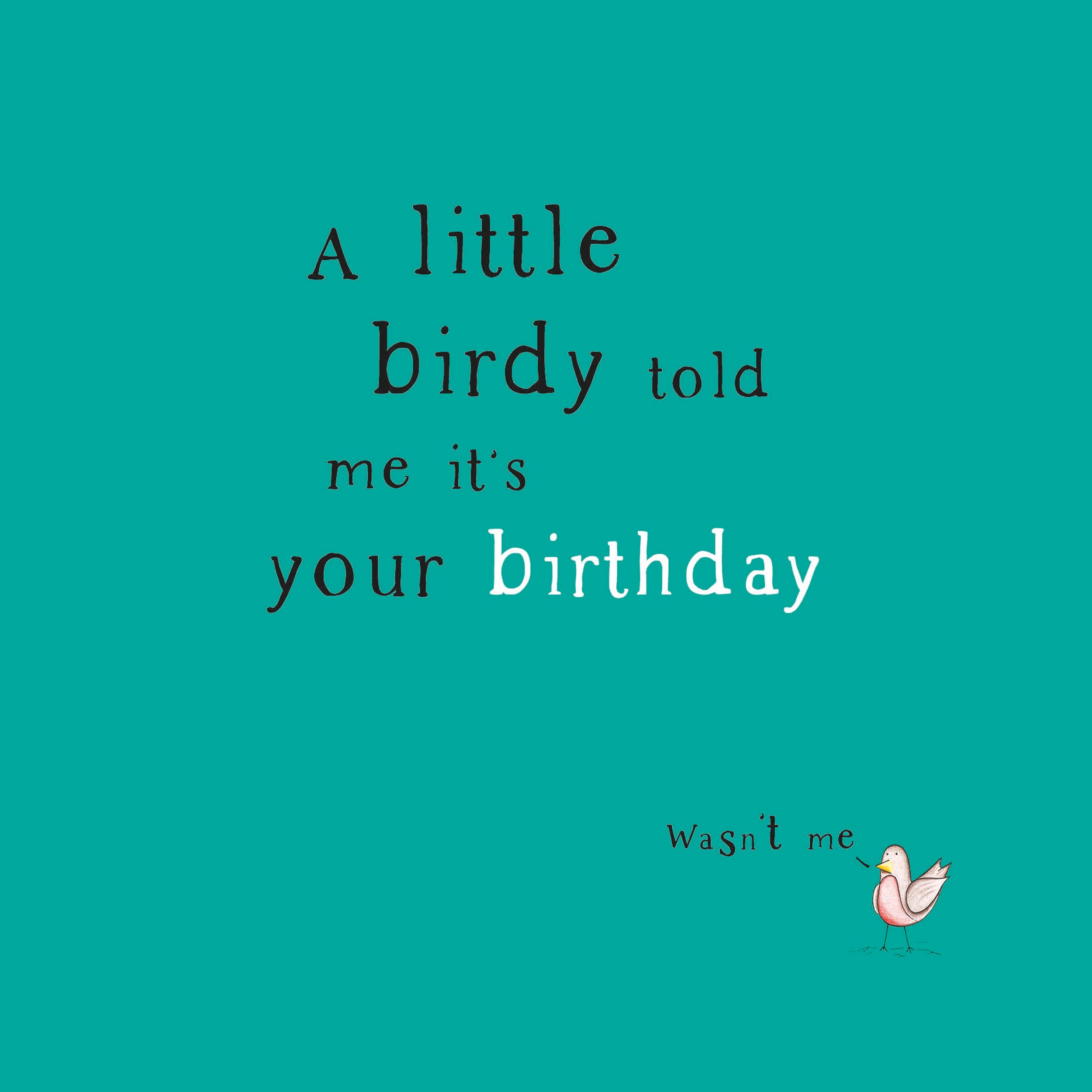 otter-house-alec-s-cards-little-birdy-vogel-gru-karte-lustig image 1