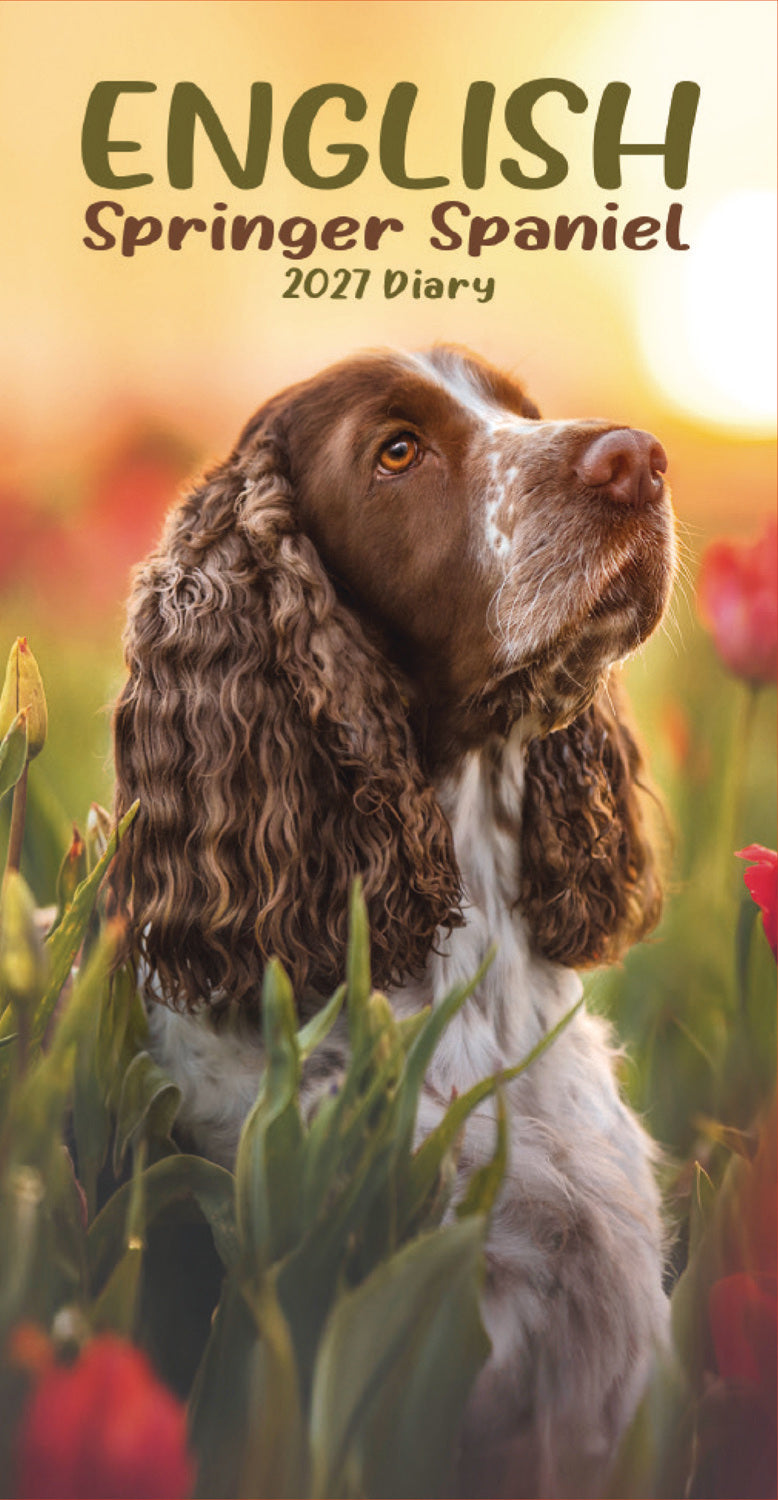 otter-house-english-springer-spaniels-slim-diary-2027-hunde image 1