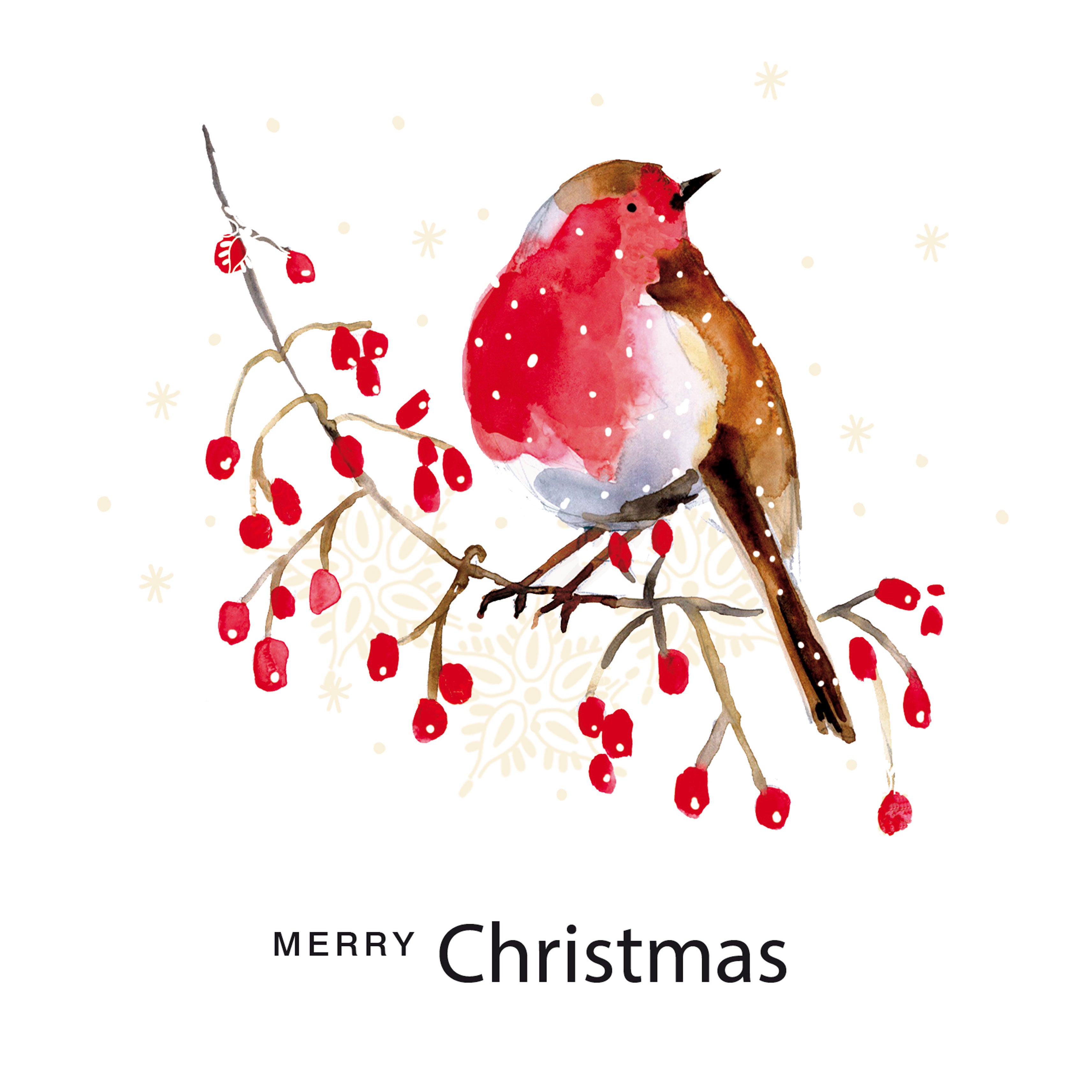 otter-house-christmas-weihnachtskarte-berry-robin image 1
