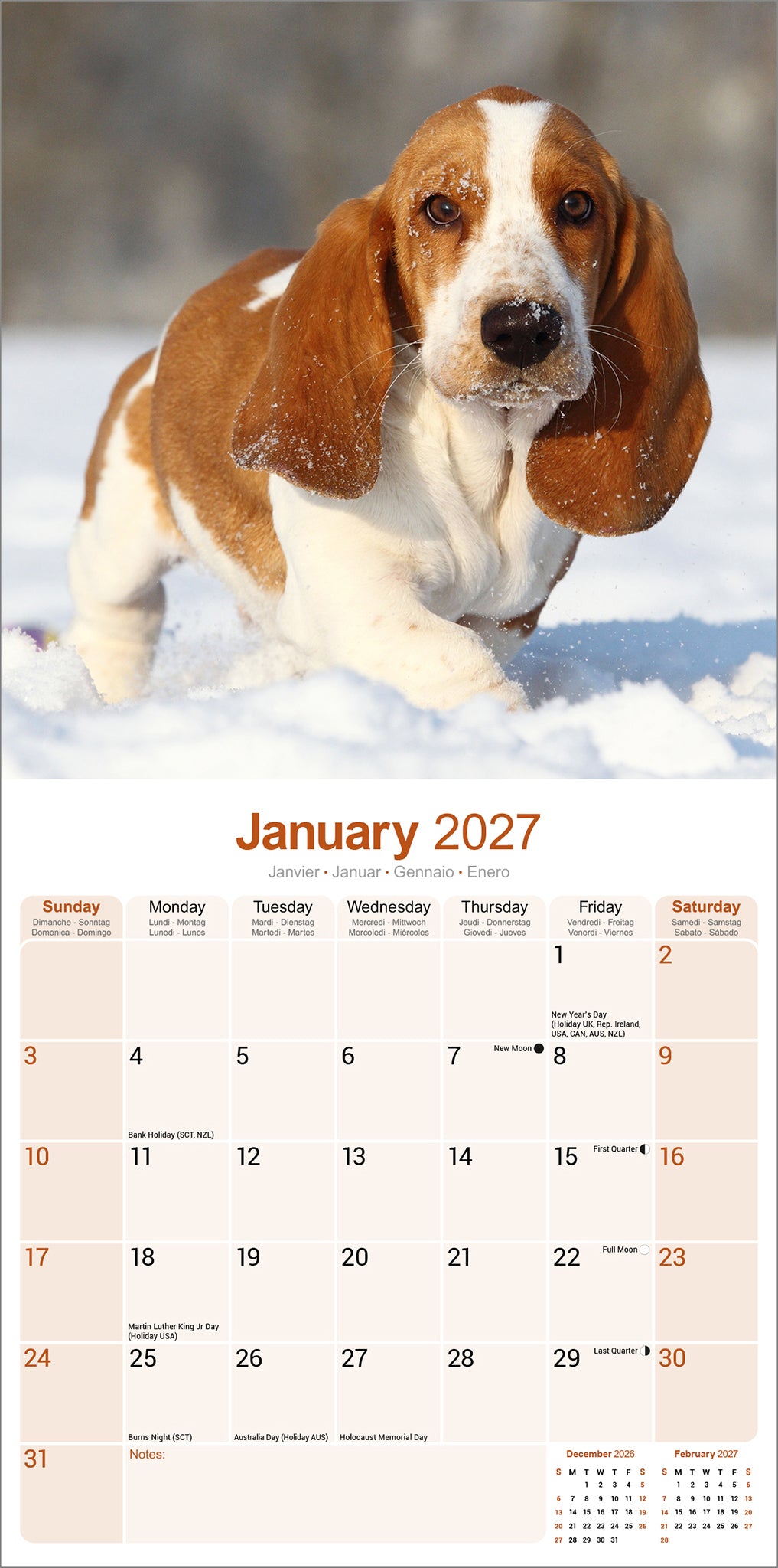 otter-house-basset-hound-wandkalender-2027-hunde image 3