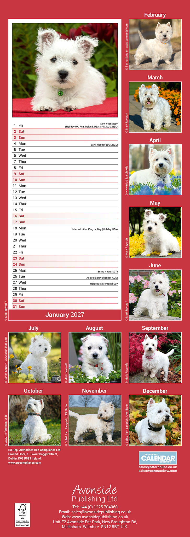 otter-house-west-highland-white-terrier-slim-kalender-2027-hunde image 2