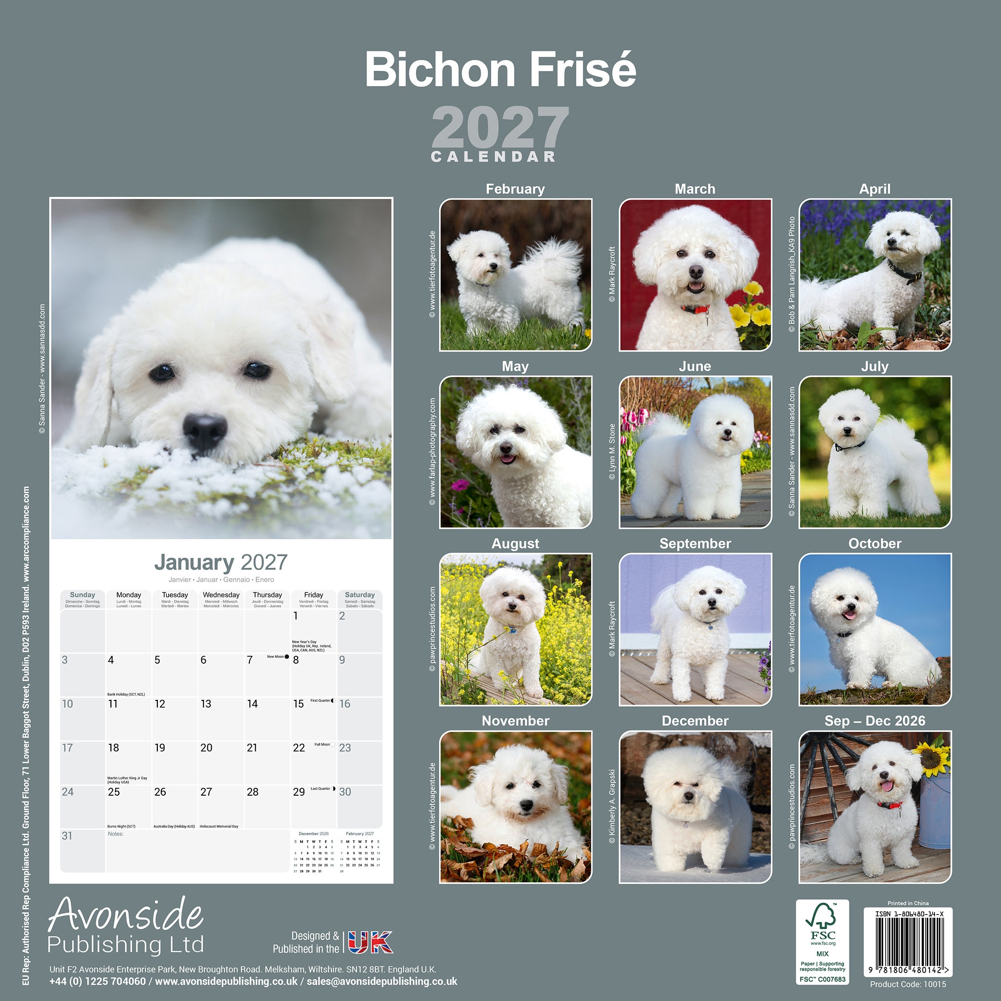 otter-house-bichon-frise-wandkalender-2027-hunde image 2