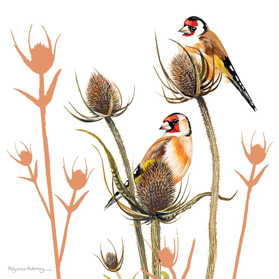 otter-house-pollyanna-pickering-goldfinch-gru-karte-stieglitz image 1