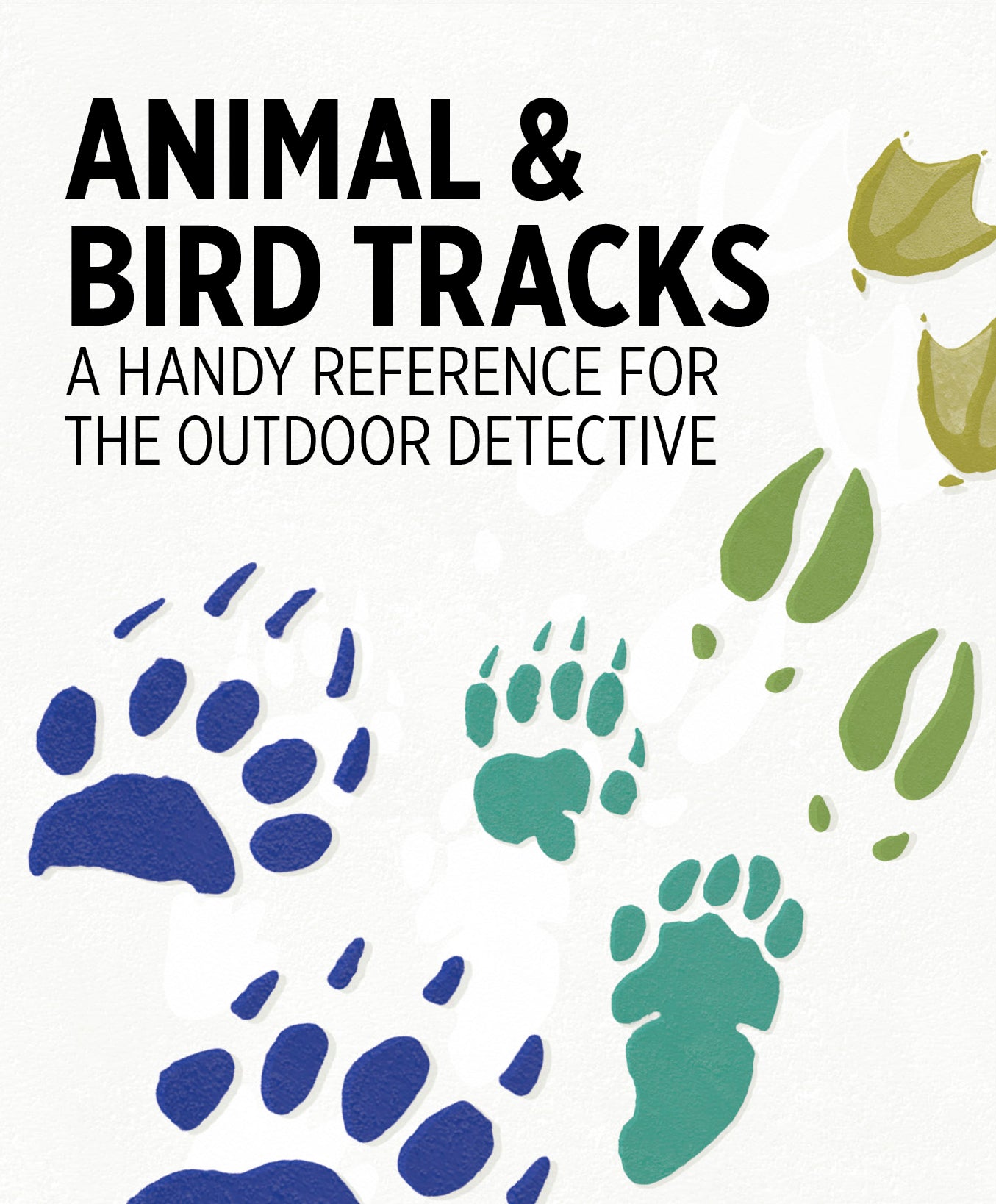 pomegranate-animal-bird-tracks-lernkarten-48-karten image 2