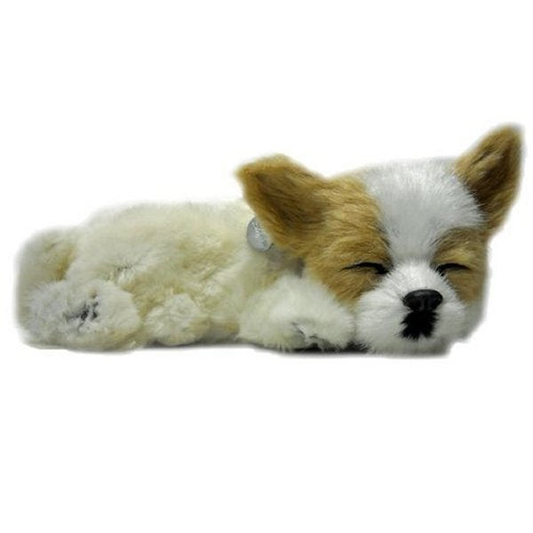 otter-house-precious-petzzz-chihuahua-pl-schhund-mit-bett image 1