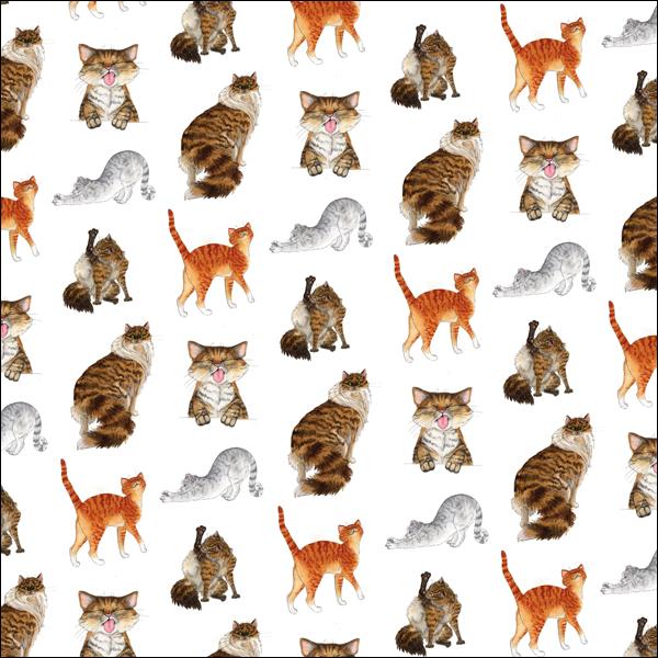otter-house-gift-packaging-alisons-animals-geschenkpapier-katze image 1
