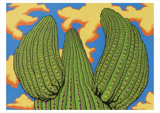 pomegranate-blank-notecards-saguaro-dreamin-klappkarte-einzeln image 1
