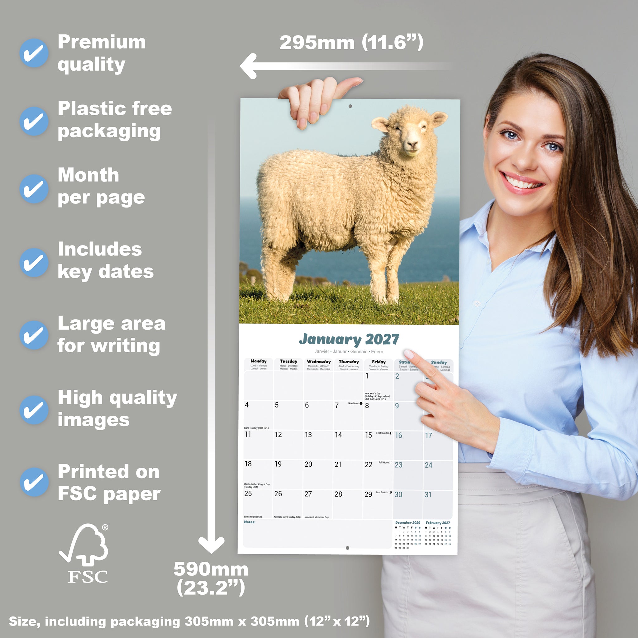 otter-house-sheep-wall-calendar-2027-wandkalender-schafe image 4