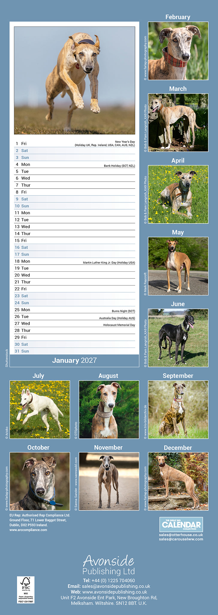 otter-house-greyhound-slim-calendar-2027-wandkalender-hund image 2