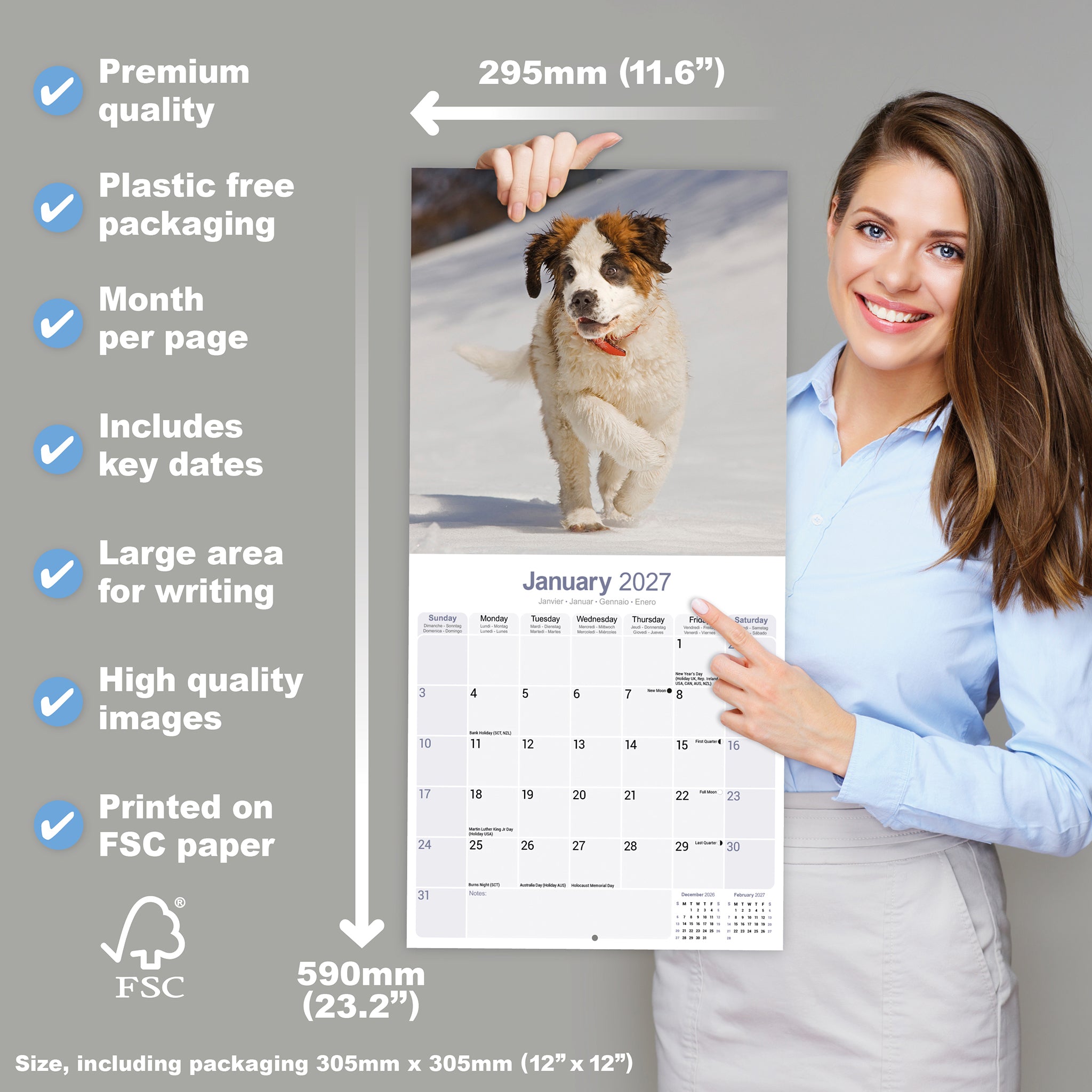 otter-house-saint-bernard-wandkalender-2027-hunde image 4
