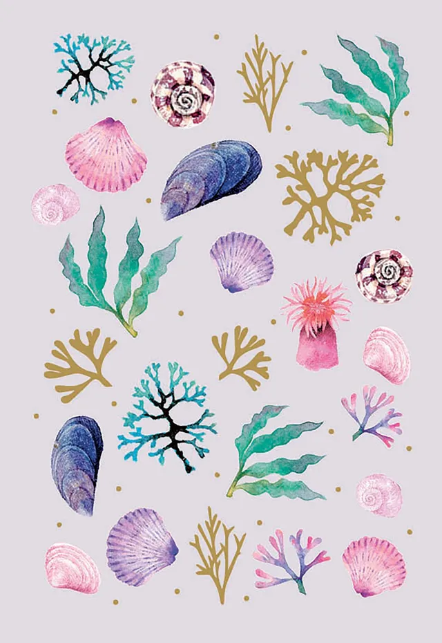 otter-house-meadow-seashore-shells-gru-karte-muscheln-blanko image 1