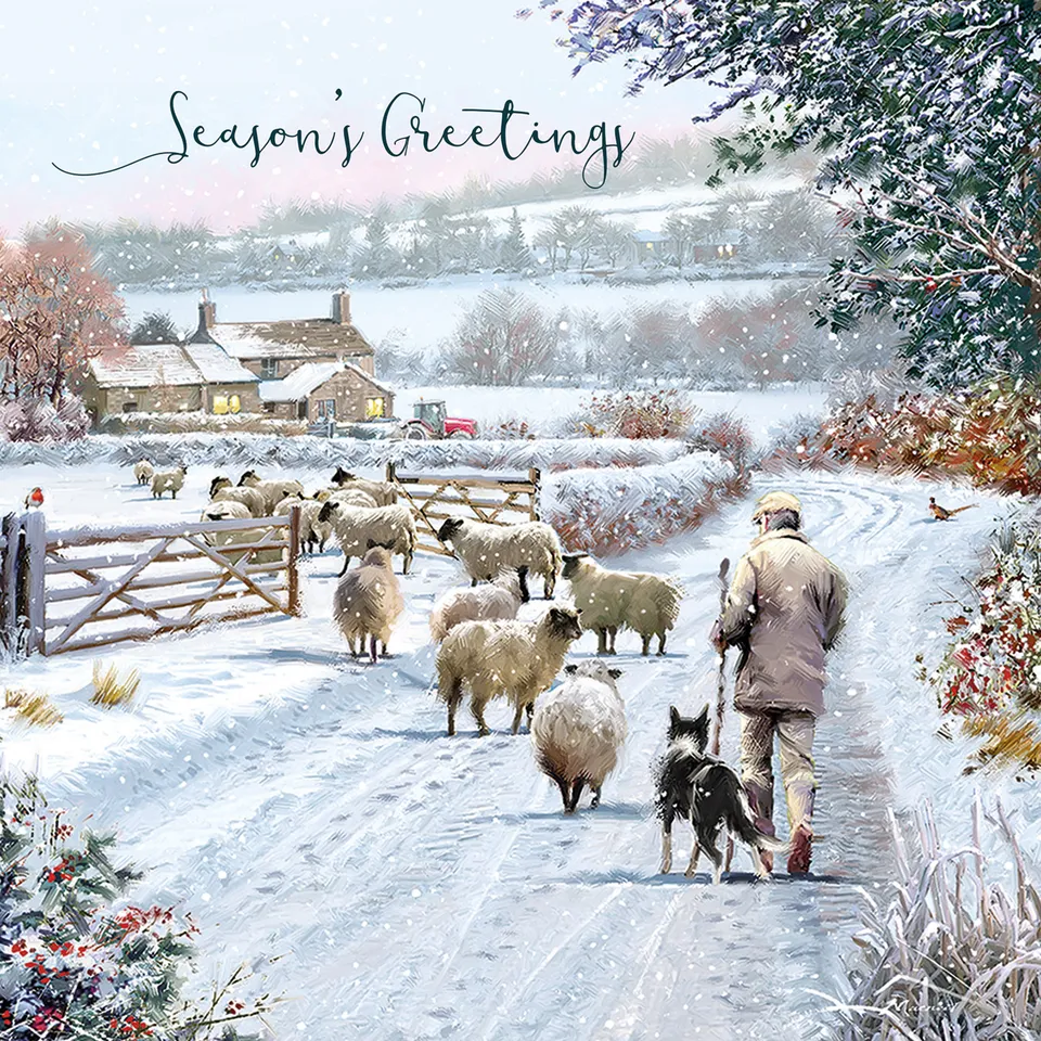 otter-house-christmas-off-home-weihnachtskarten-sortiert image 1