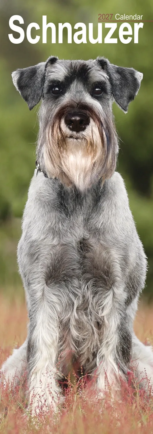 otter-house-schnauzer-slim-calendar-2027-wandkalender image 1