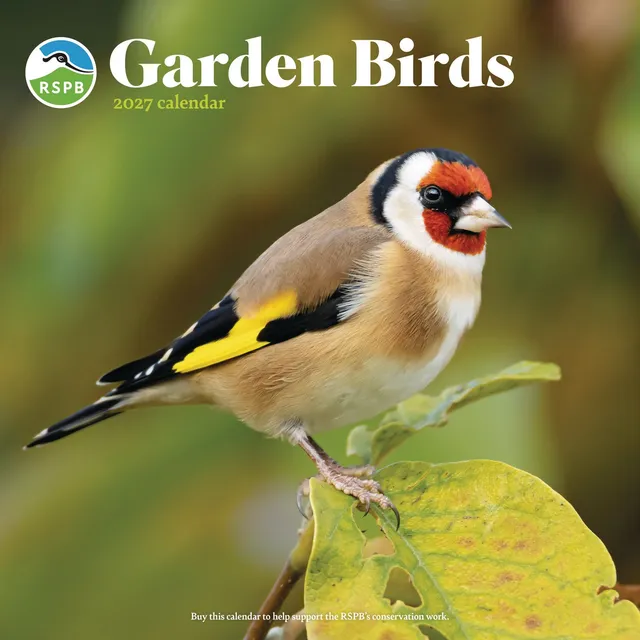 otter-house-garden-birds-rspb-wandkalender-2027-v-gel image 1