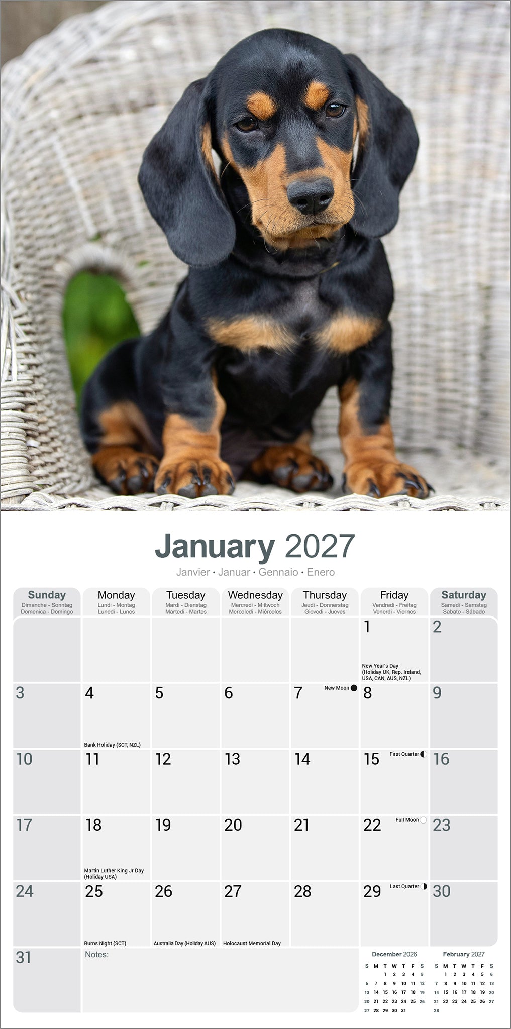 otter-house-dackel-wandkalender-2027-hunde image 3